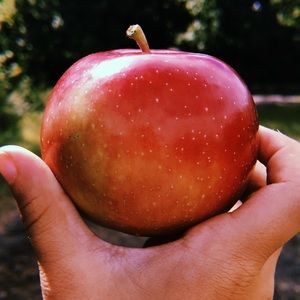 Meet your Posher, Julia